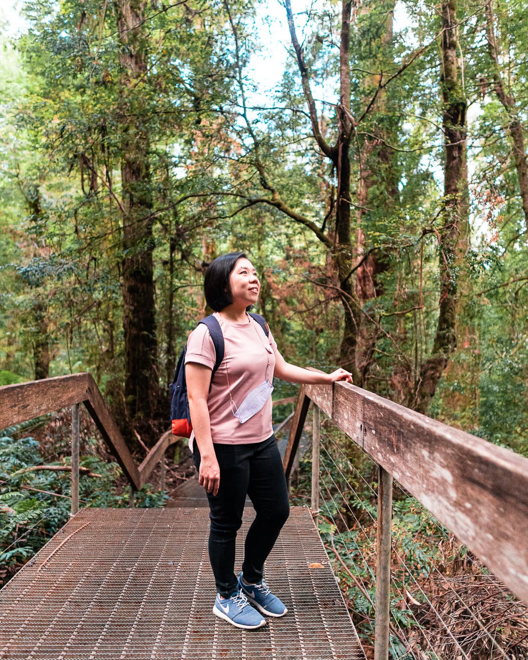 Colorful dessert platter with pastries and sweets shared by Two Hungry Diners