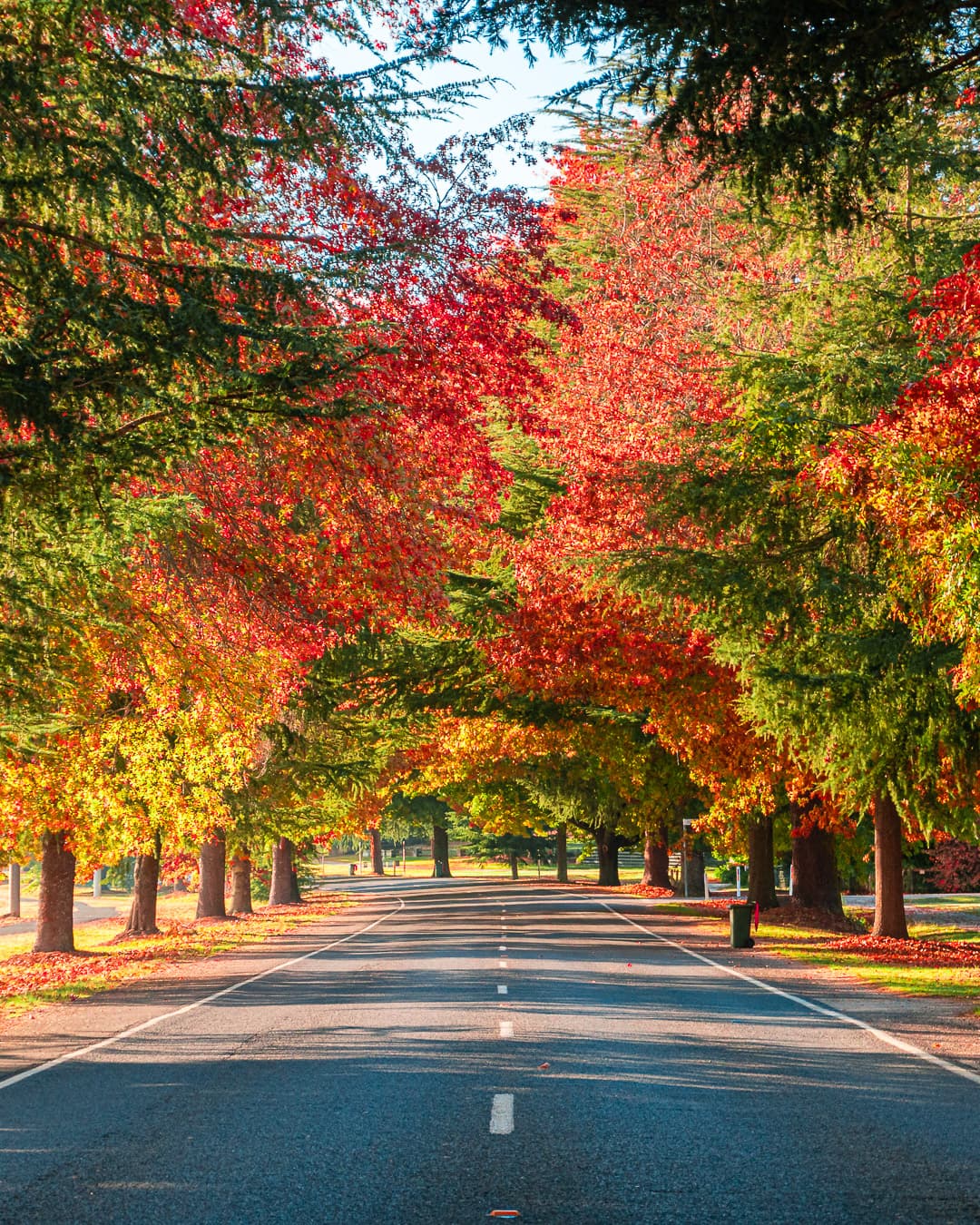 Close-up of plated dishes from a food review by Two Hungry Diners